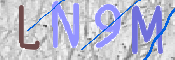 画像に表示された文字を入力して下さい