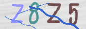 画像に表示された文字を入力して下さい
