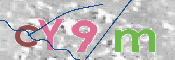 画像に表示された文字を入力して下さい