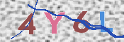画像に表示された文字を入力して下さい