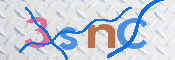 画像に表示された文字を入力して下さい