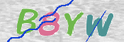 画像に表示された文字を入力して下さい