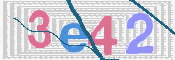 画像に表示された文字を入力して下さい