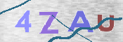 画像に表示された文字を入力して下さい