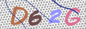 画像に表示された文字を入力して下さい