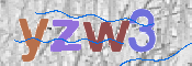 画像に表示された文字を入力して下さい