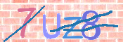 画像に表示された文字を入力して下さい