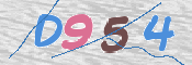 画像に表示された文字を入力して下さい