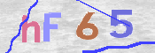 画像に表示された文字を入力して下さい