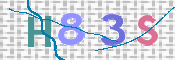 画像に表示された文字を入力して下さい