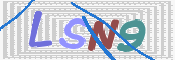 画像に表示された文字を入力して下さい