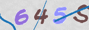画像に表示された文字を入力して下さい