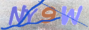 画像に表示された文字を入力して下さい