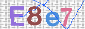 画像に表示された文字を入力して下さい