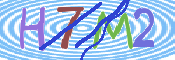 画像に表示された文字を入力して下さい