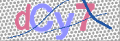 画像に表示された文字を入力して下さい