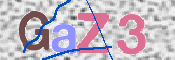 画像に表示された文字を入力して下さい