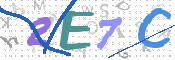 画像に表示された文字を入力して下さい