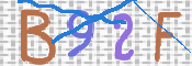 画像に表示された文字を入力して下さい