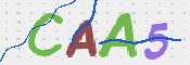 画像に表示された文字を入力して下さい