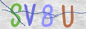 画像に表示された文字を入力して下さい
