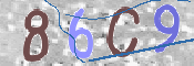 画像に表示された文字を入力して下さい