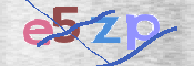 画像に表示された文字を入力して下さい