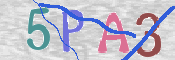 画像に表示された文字を入力して下さい
