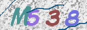 画像に表示された文字を入力して下さい