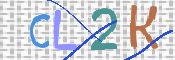 画像に表示された文字を入力して下さい