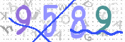 画像に表示された文字を入力して下さい