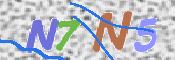 画像に表示された文字を入力して下さい