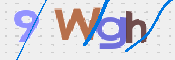 画像に表示された文字を入力して下さい