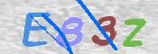 画像に表示された文字を入力して下さい