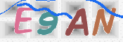 画像に表示された文字を入力して下さい