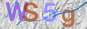 画像に表示された文字を入力して下さい