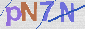 画像に表示された文字を入力して下さい