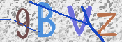 画像に表示された文字を入力して下さい