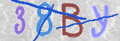 画像に表示された文字を入力して下さい