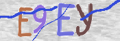 画像に表示された文字を入力して下さい