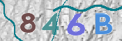 画像に表示された文字を入力して下さい