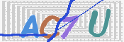 画像に表示された文字を入力して下さい