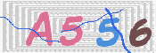 画像に表示された文字を入力して下さい