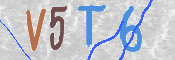 画像に表示された文字を入力して下さい