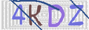 画像に表示された文字を入力して下さい