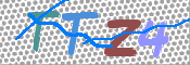 画像に表示された文字を入力して下さい