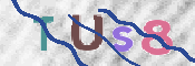 画像に表示された文字を入力して下さい