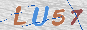 画像に表示された文字を入力して下さい