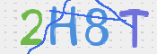 画像に表示された文字を入力して下さい