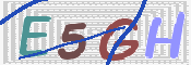 画像に表示された文字を入力して下さい